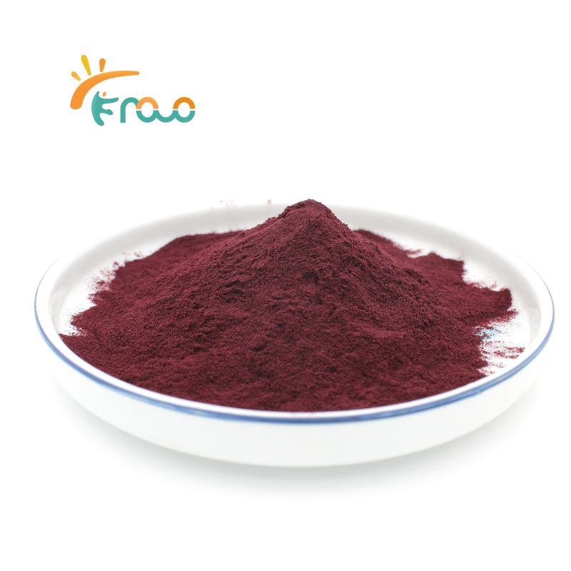 Monascus extract powder Monascus extract powder