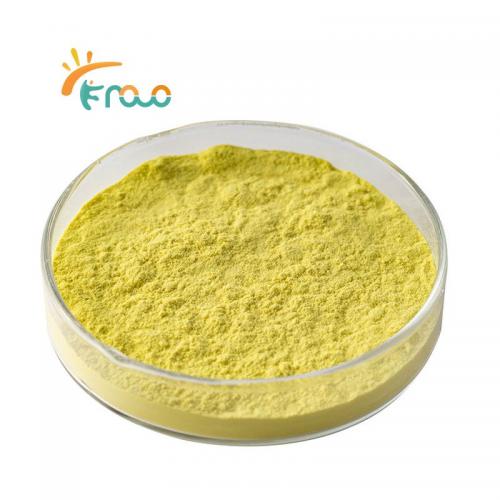  100% Organic Ginger Powder Best Price Ginger Extract Powder for Food & Beverage Fournisseurs