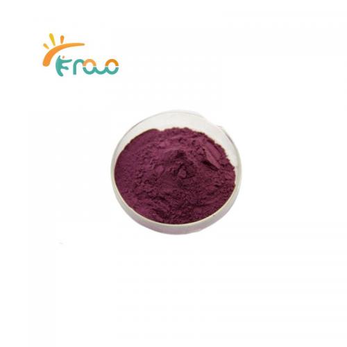  Beet Root Powder Fournisseurs