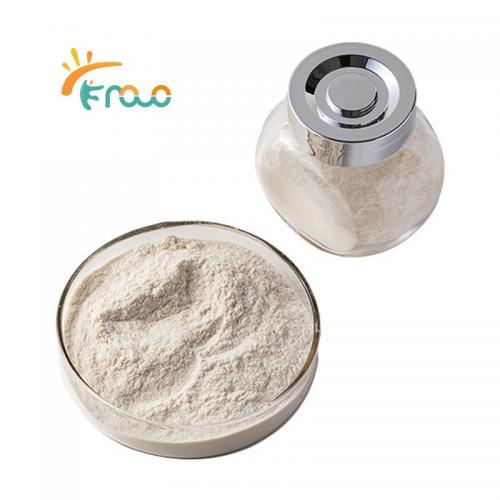  High Density Chitosan Powder Fournisseurs