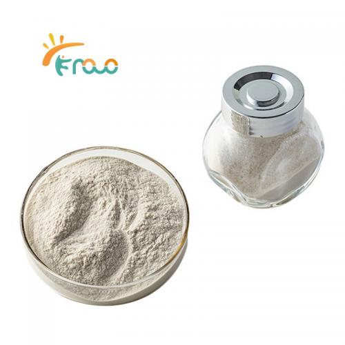  Industrial Grade Chitosan Powder Fournisseurs