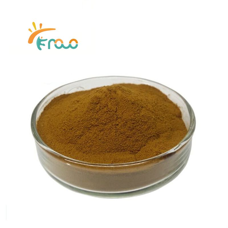 Dévoiler les bienfaits de l'extrait de Cordyceps : utilisations et applications
